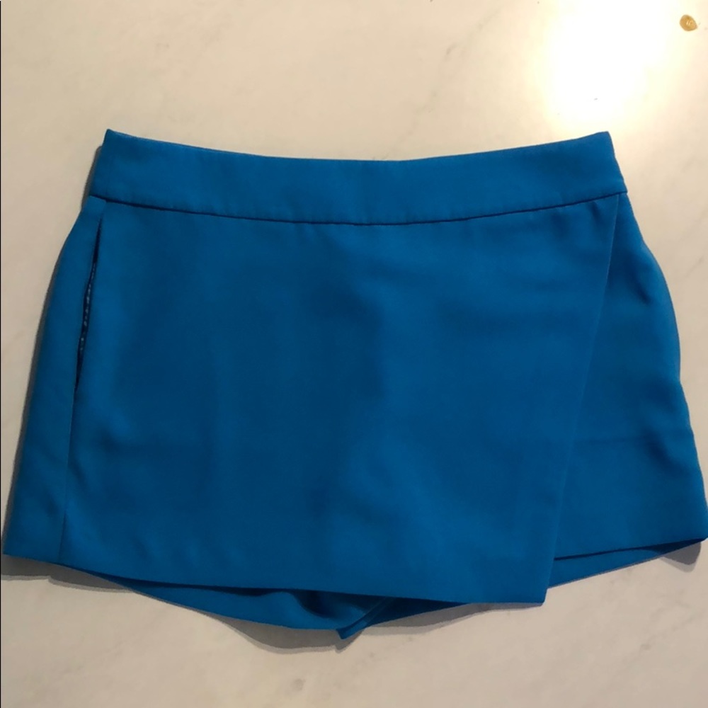 J Crew Short/Skirt